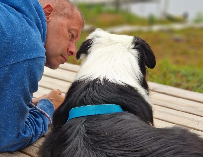 Mitarbeiter mit seinem Therapiehund