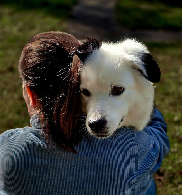 Frau umarmt Hund zum Trost
