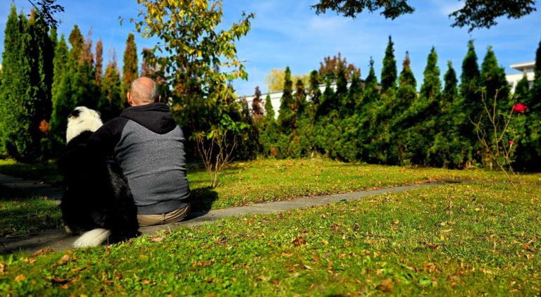 Genesungsbegleiter und Therapiehund sind zusamen auf Wiese